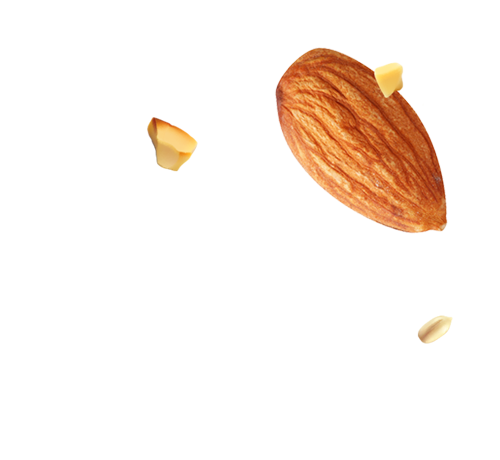 https://pastry.bold-themes.com/wp-content/uploads/2017/10/almond_seed_landing.png