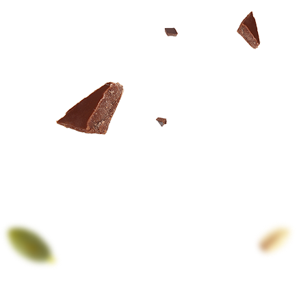 https://pastry.bold-themes.com/wp-content/uploads/2017/10/choco_landing.png