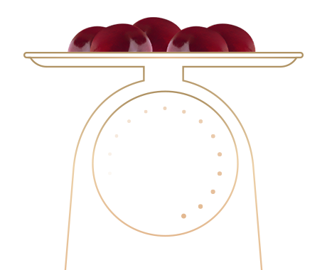 https://pastry.bold-themes.com/wp-content/uploads/2017/10/illustration_landing.png